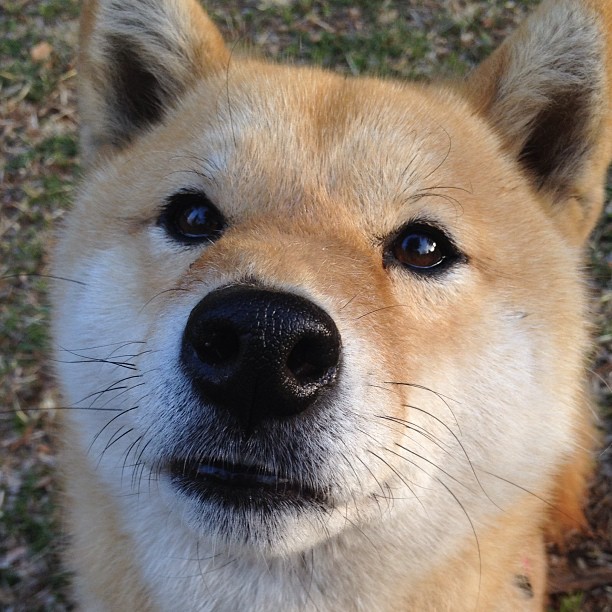 塔图姆统治攻防两端，凯尔特人主场力克魔术