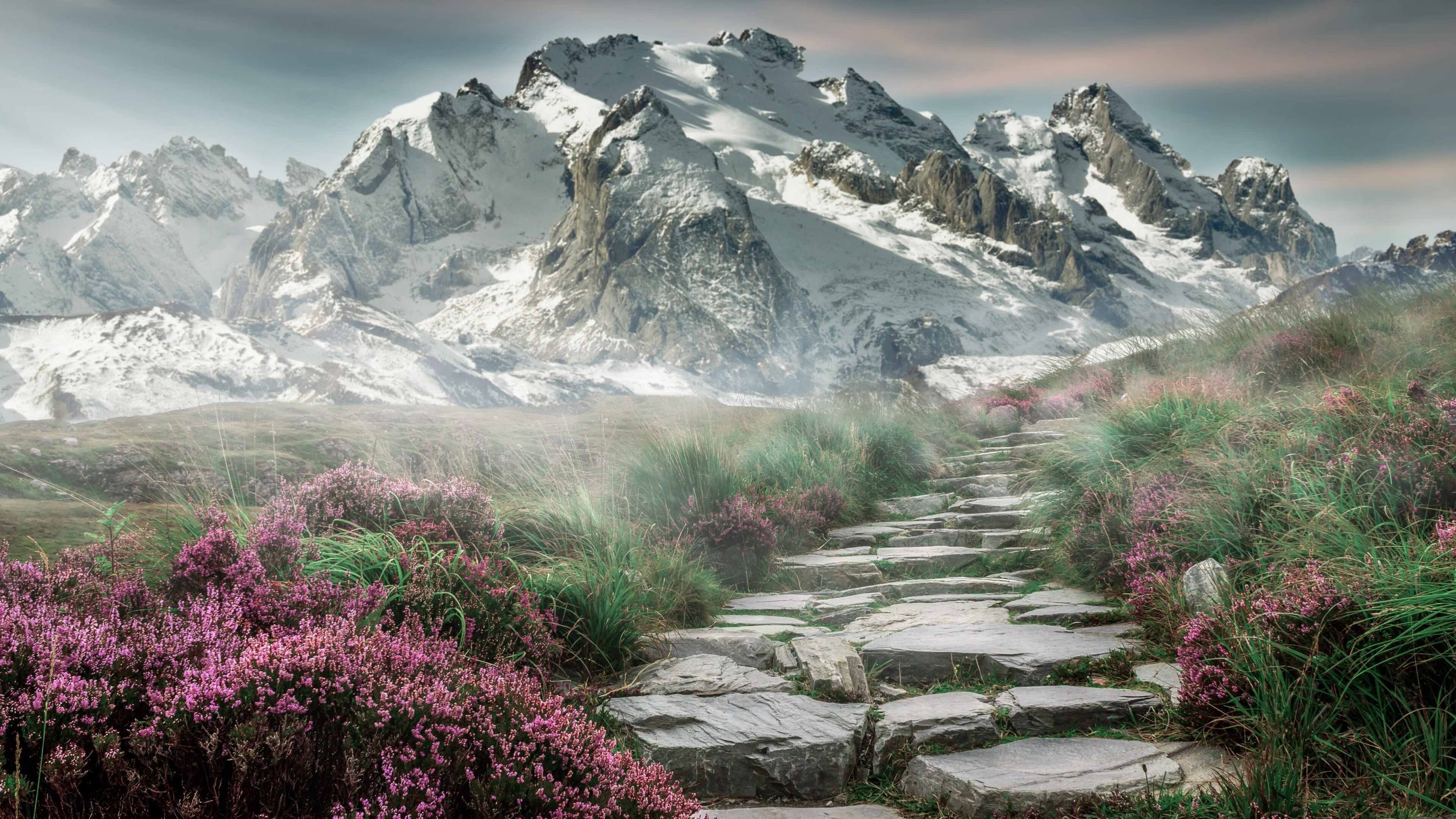 新王当立，班凯罗攻防两端统治，篮网力克绿衫军