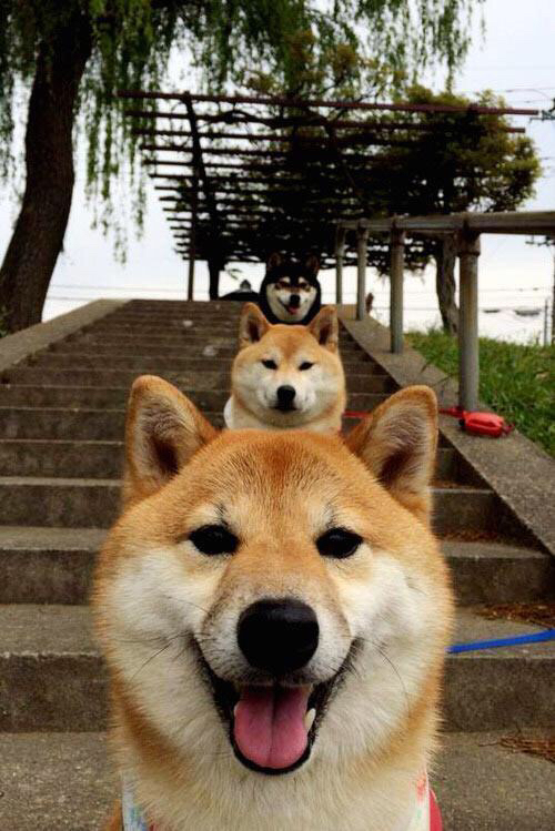 开云体育-跨界篮球风云，山西队收割爵士，字母哥东决关键战接管比赛的全球启示