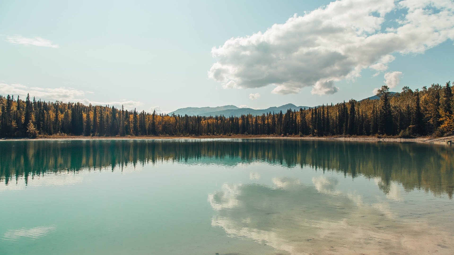 开云体育下载-关键战的艺术，独行侠破局与塔图姆时间