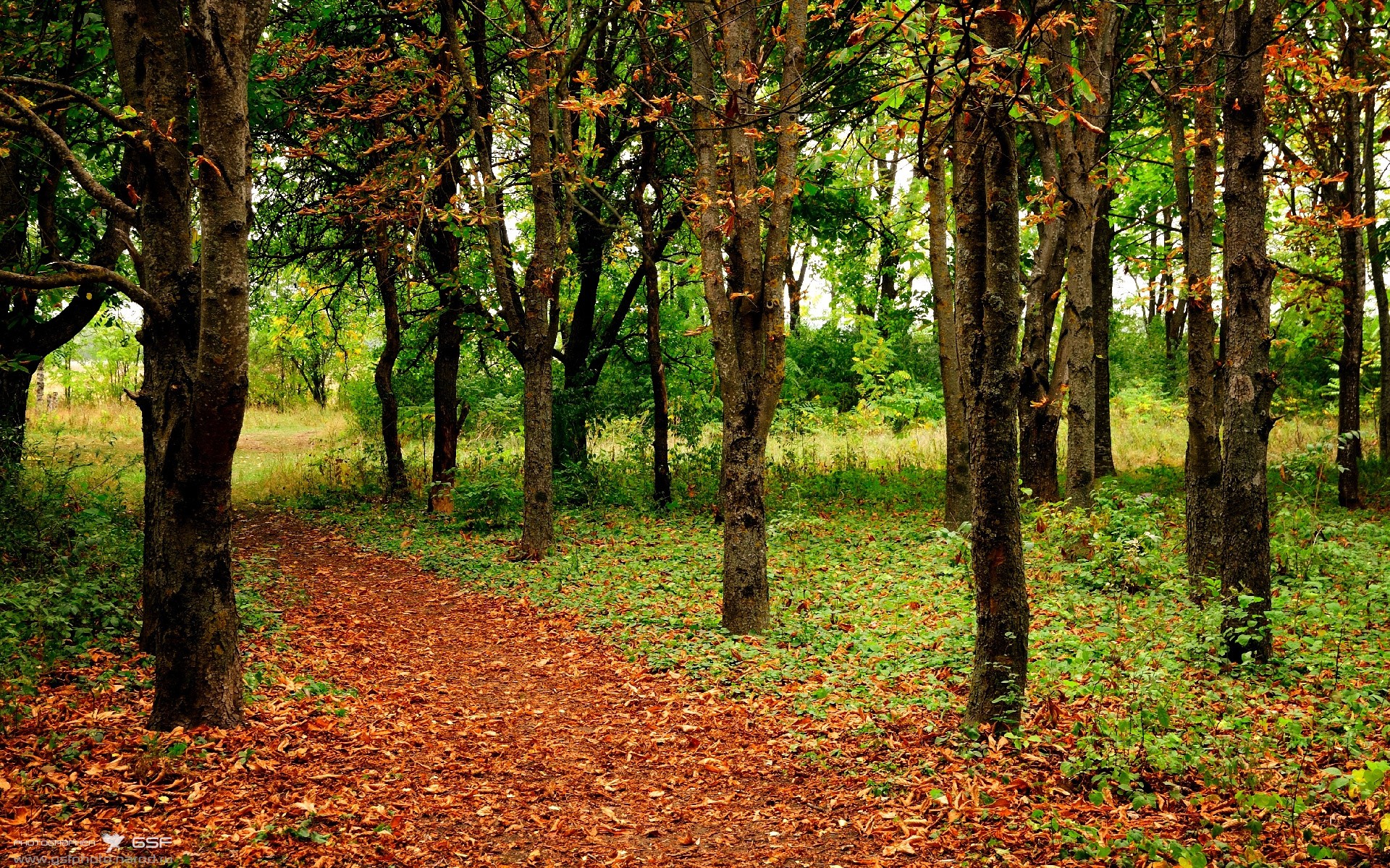 开云体育app-欧冠决赛之夜，门迪，在0.01秒的寂静中埋葬悬念