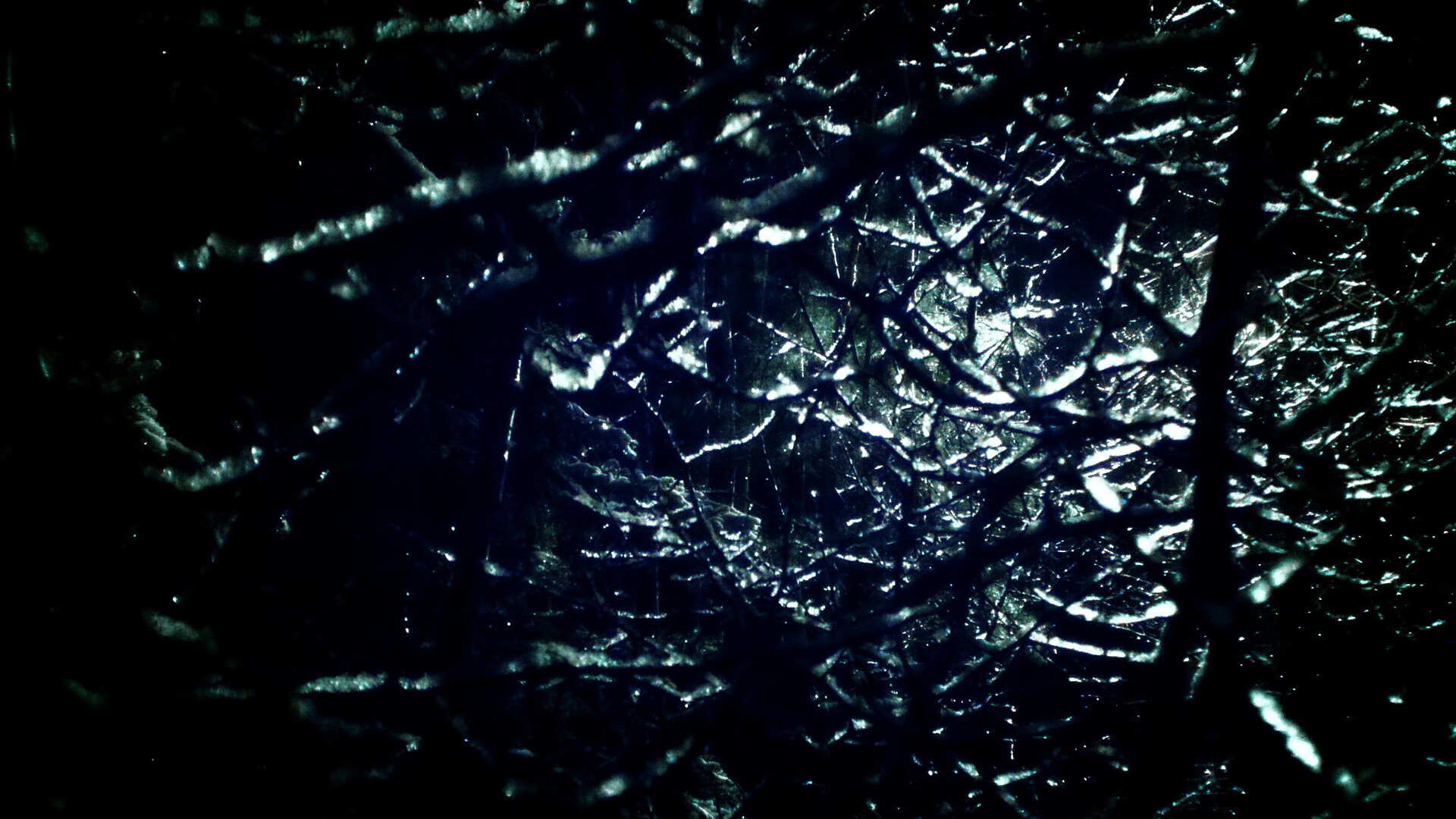 开云体育官网-卡马文加，从巴黎到伦敦，一个中场胜负手的诞生