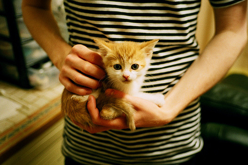 开云体育在线-双重奏，威尔士击溃乌拉圭的团队荣耀与楚阿梅尼欧冠淘汰赛的个人统治