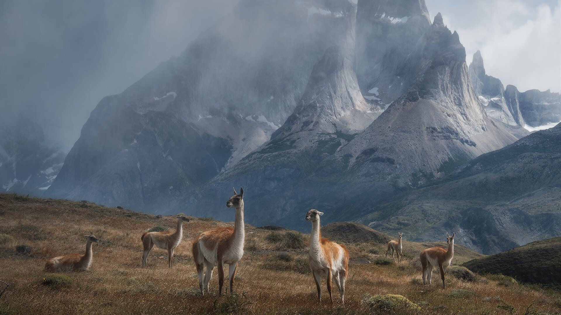 开云体育登录-凯尔特人棋局新王，决胜时刻，切特执子定江山