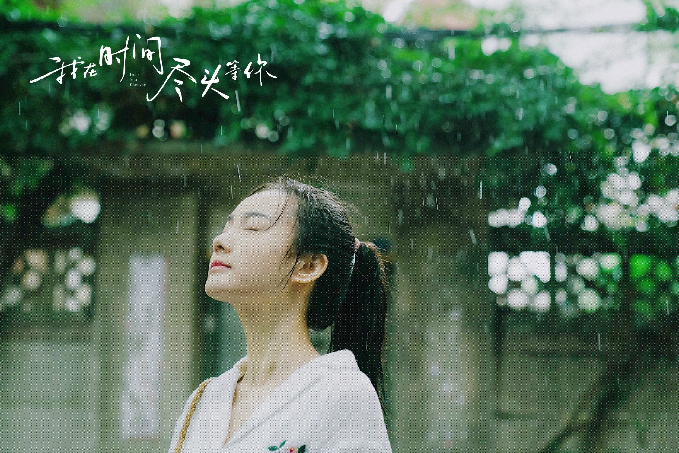 铁血与流星，当坎特的哲学照亮委内瑞拉的反叛