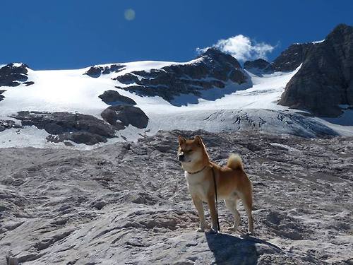 暗夜与曙光,西亚卡姆生死战缔造杀伤美学